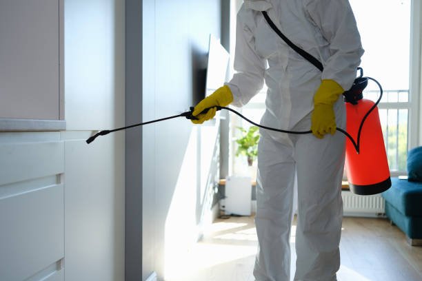 Best Crawl Space Mold Removal  in Indianola, WA